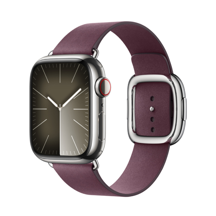 Apple Watch 9 41mm GPS + 4G viền thép