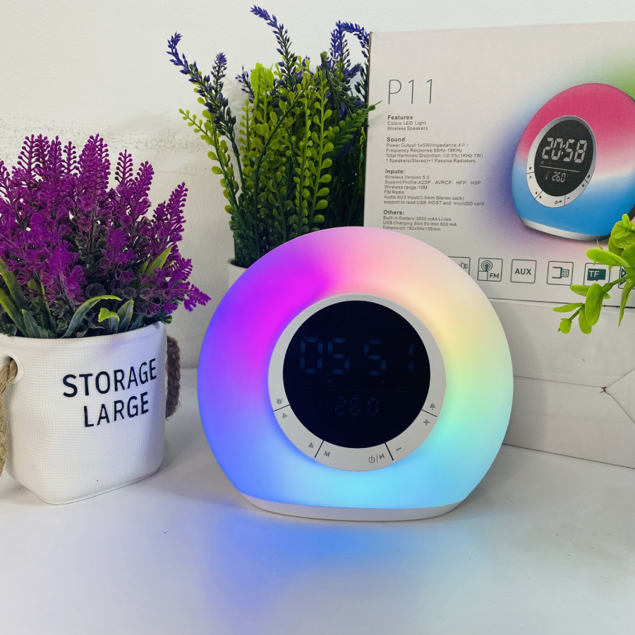 Loa Bluetooth P11
