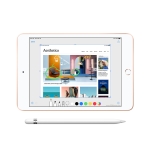iPad Mini 5 2019 256GB Wifi chính hãng