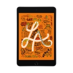 iPad Mini 5 2019 256GB Wifi chính hãng
